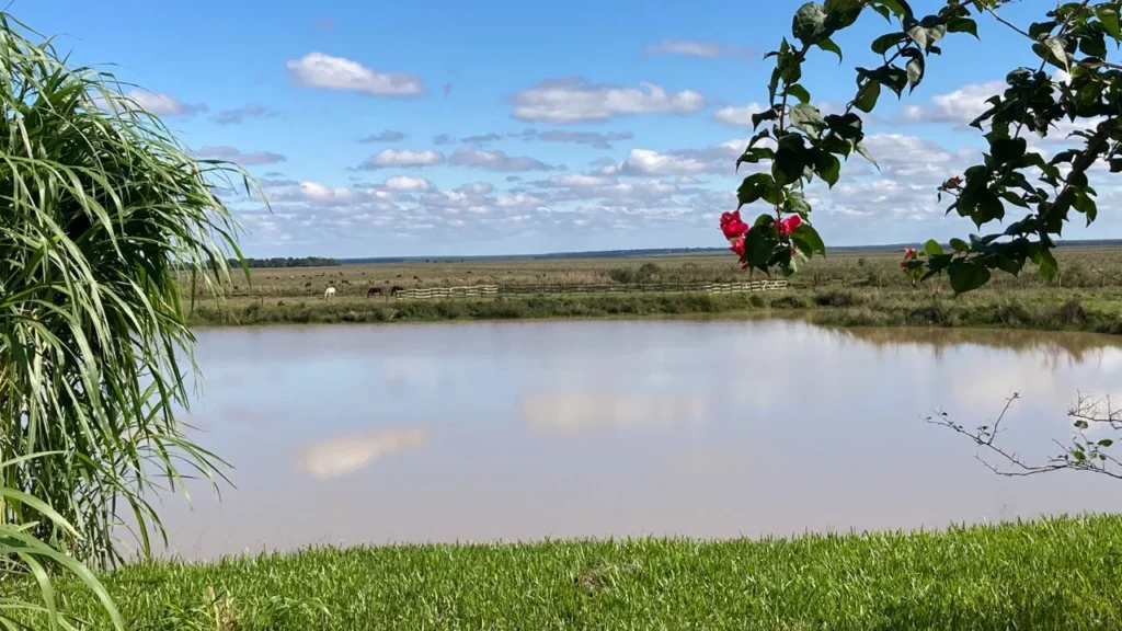 Proof of Innocence El Paraiso Verde