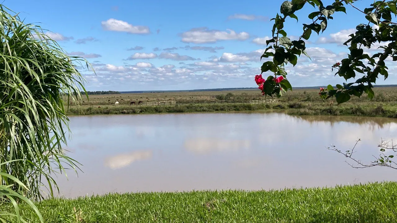 Proof of Innocence El Paraiso Verde